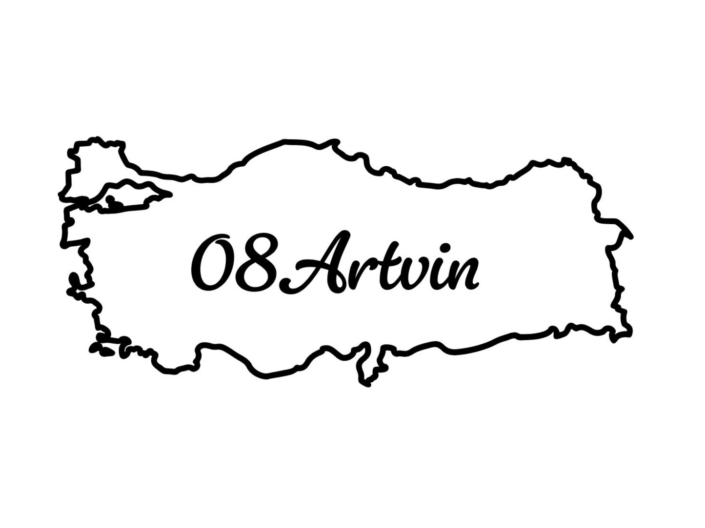 ARTVIN 08