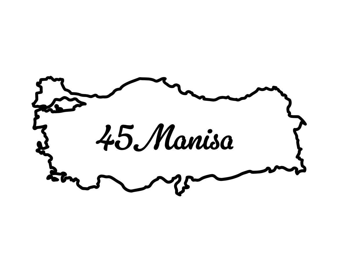 MANISA 45