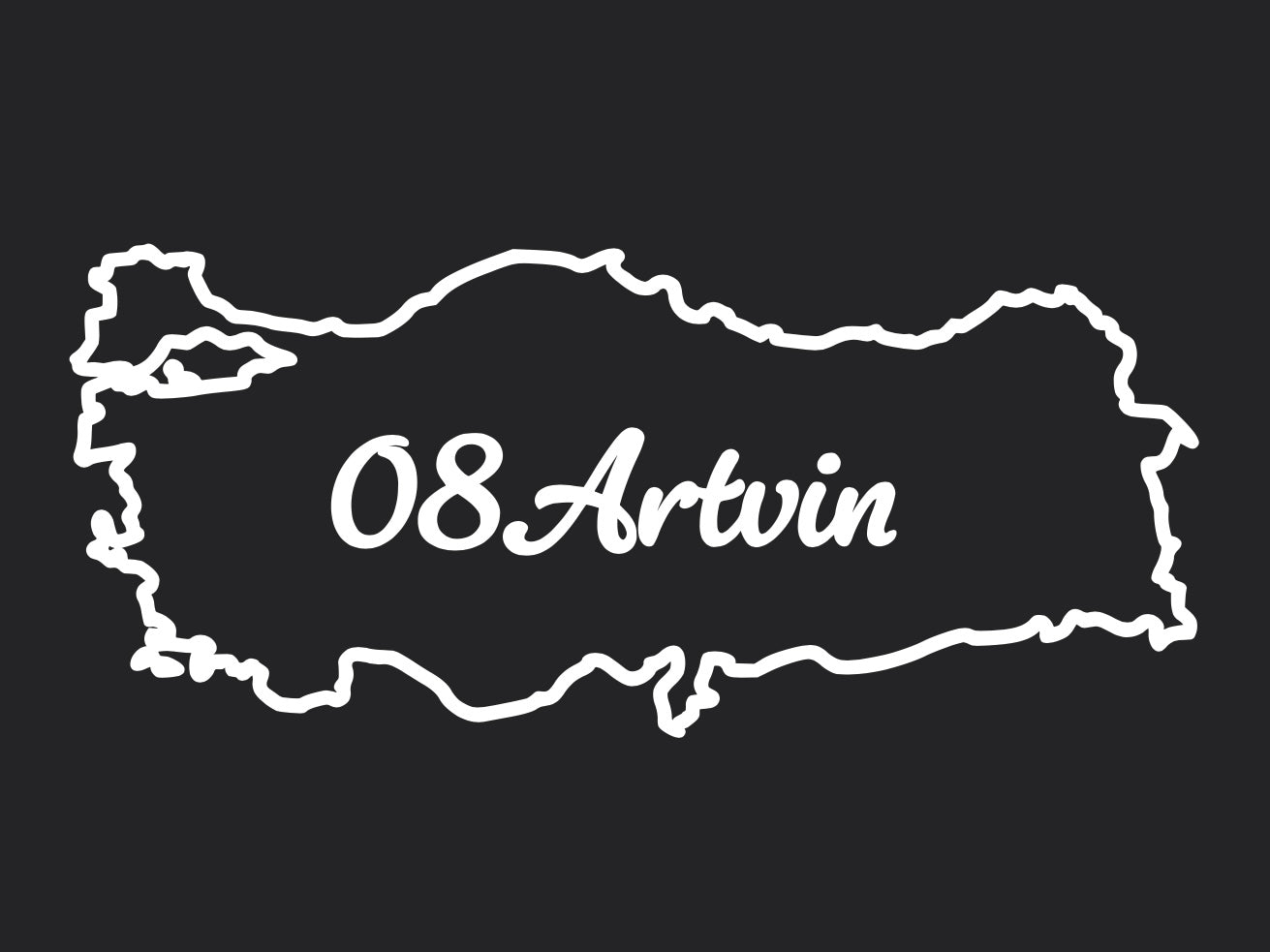 ARTVIN 08