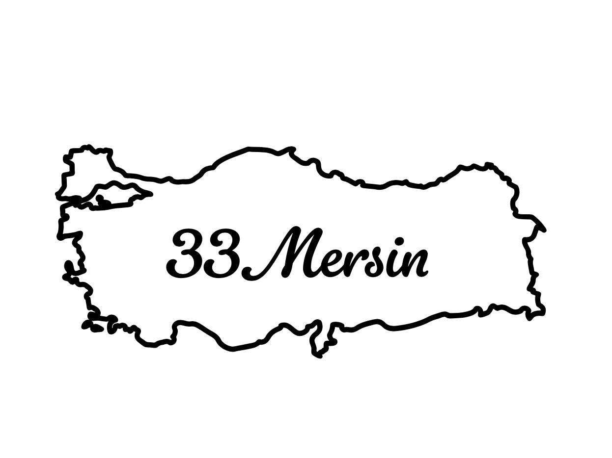 MERSIN 33