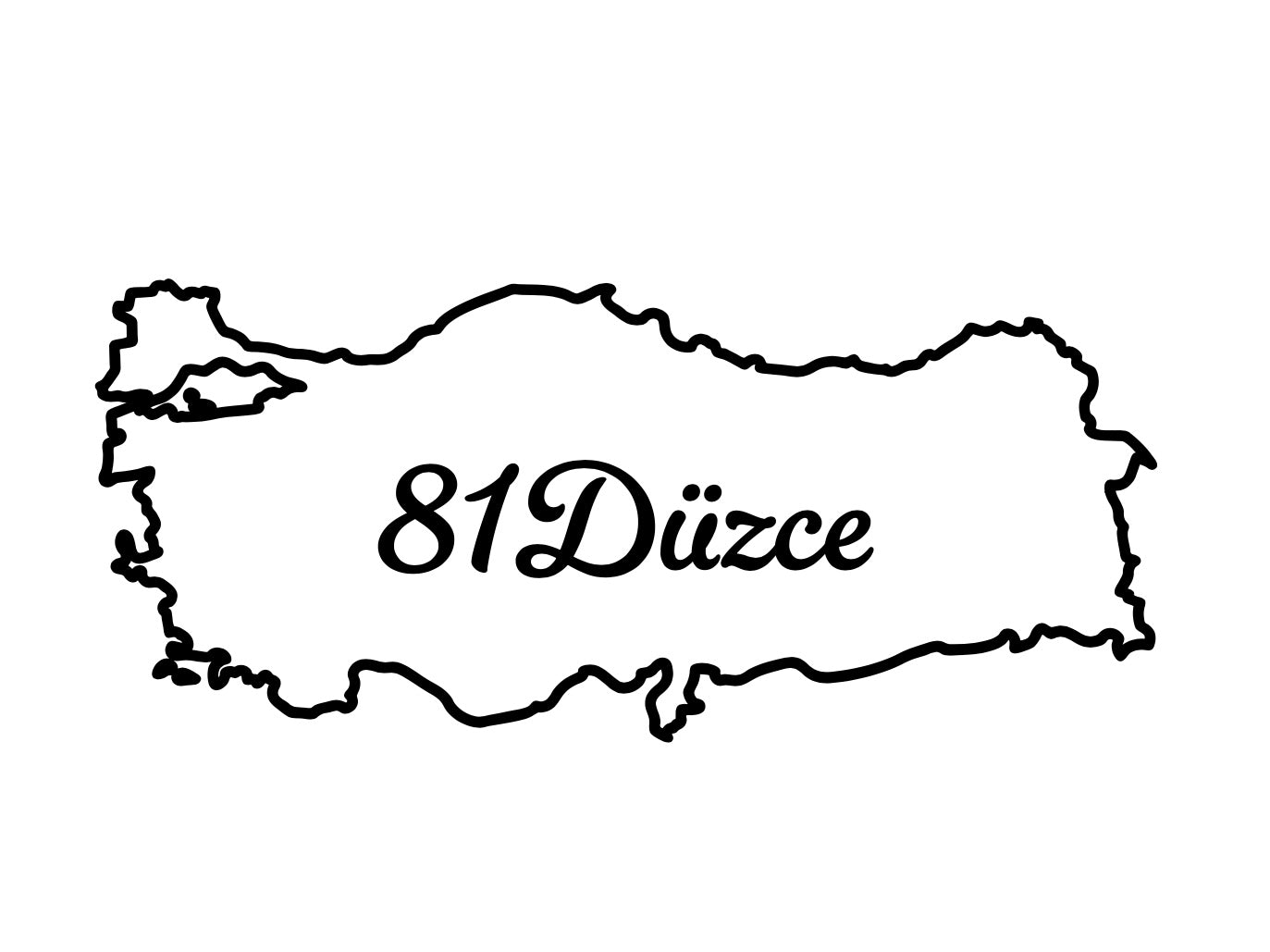 DÜZCE 81