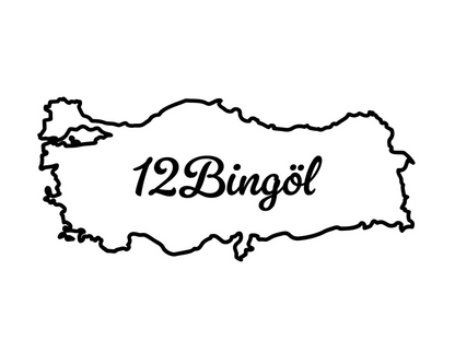 BINGÖL 12