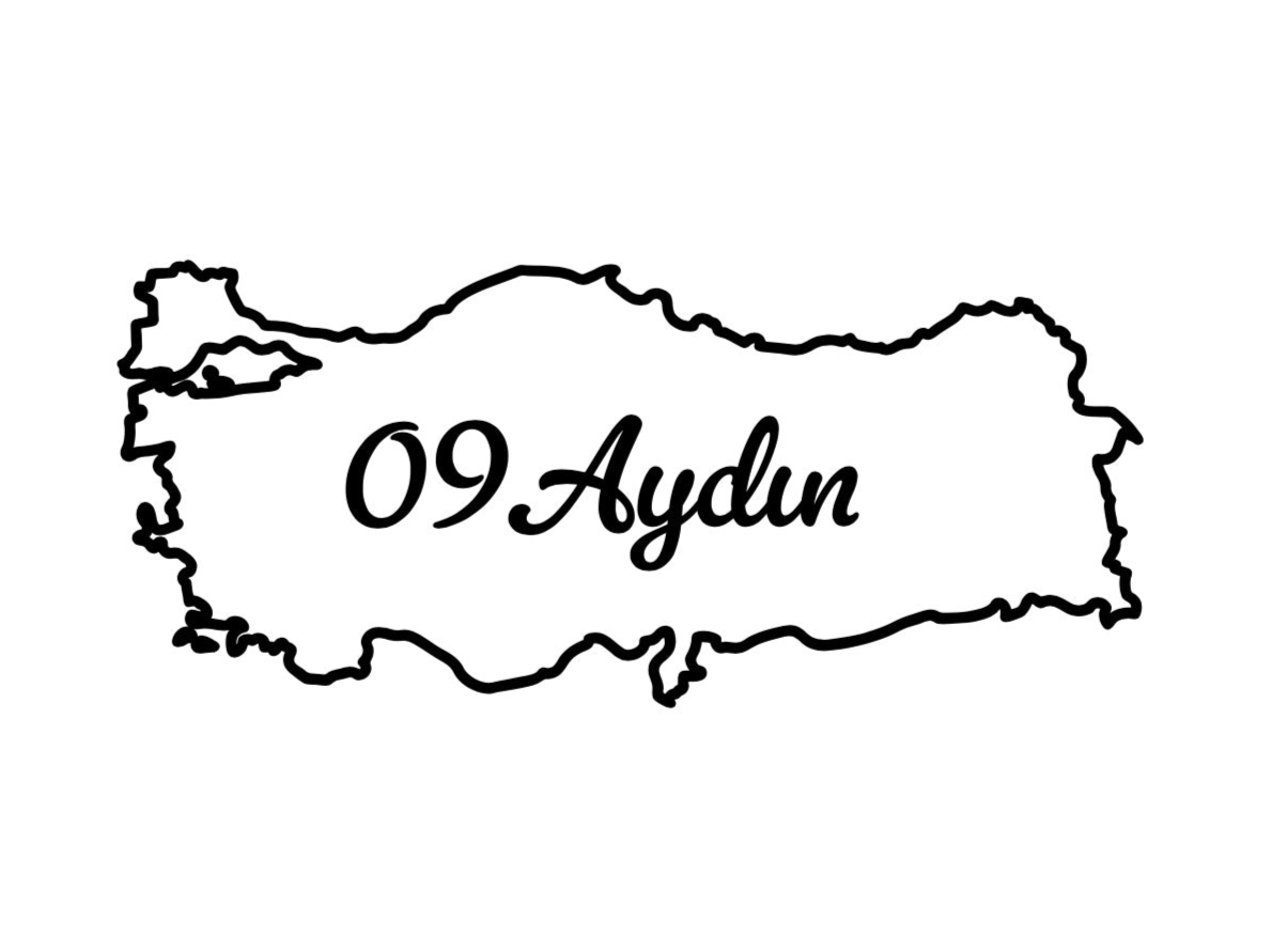 AYDIN 09