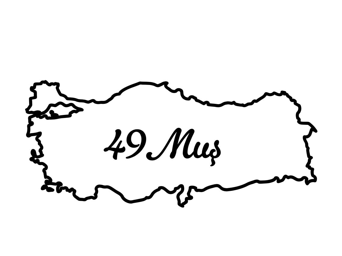 MUS 49