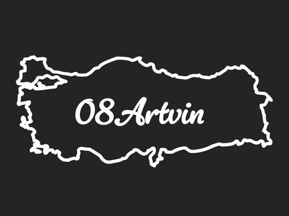 ARTVIN 08