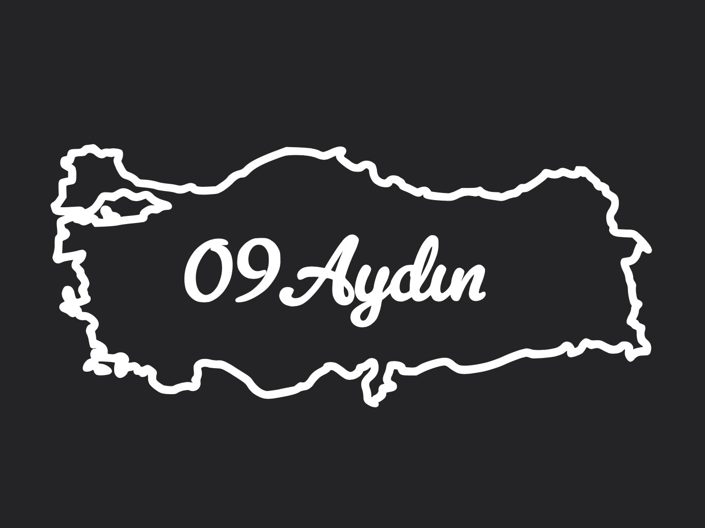 AYDIN 09