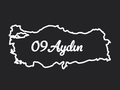 AYDIN 09