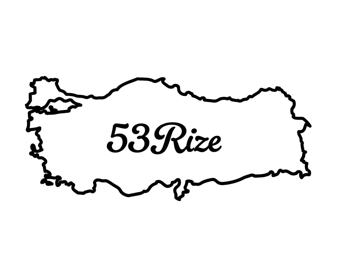RIZE 53