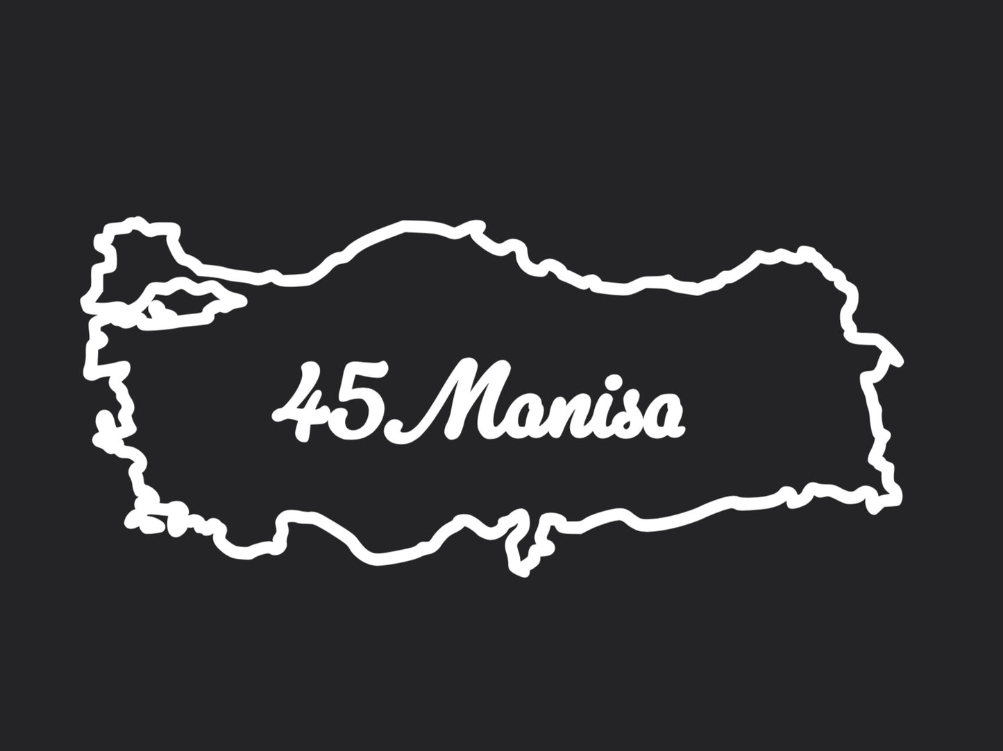 MANISA 45